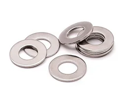 Stainless Steel 316_316L Flat Washer
